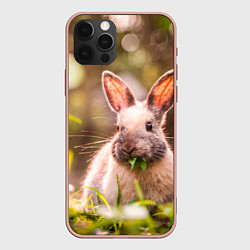 Чехол iPhone 12 Pro Max Милый кролик