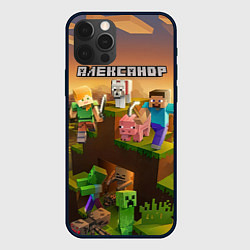 Чехол для iPhone 12 Pro Max Александр Minecraft, цвет: 3D-черный