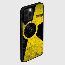 Чехол для iPhone 12 Pro Max STALKER радиационная опасность, цвет: 3D-черный — фото 2