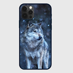Чехол для iPhone 12 Pro Max Лесной волк, цвет: 3D-черный