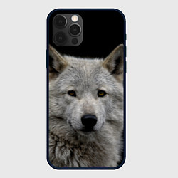 Чехол iPhone 12 Pro Max Серый волк на темном фоне