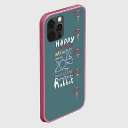 Чехол для iPhone 12 Pro Max Леттеринг с новым 2023 годом кролика, цвет: 3D-малиновый — фото 2