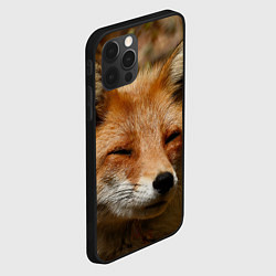 Чехол для iPhone 12 Pro Max Лис дремлет, цвет: 3D-черный — фото 2
