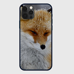 Чехол iPhone 12 Pro Max Лис в снегу