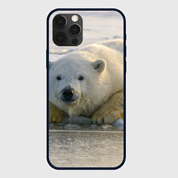 Чехол для iPhone 12 Pro Max Белый медведь ожидает, цвет: 3D-черный
