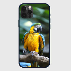 Чехол для iPhone 12 Pro Max Красавец попугай, цвет: 3D-черный