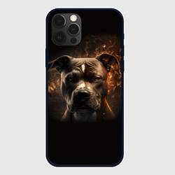 Чехол для iPhone 12 Pro Max Стафф - огонь, цвет: 3D-черный