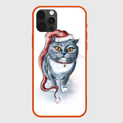 Чехол iPhone 12 Pro Max Кот гномыч