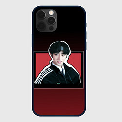 Чехол iPhone 12 Pro Max Бомгю и тень