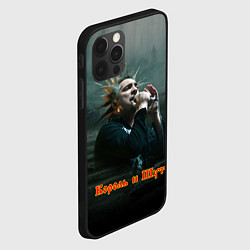 Чехол для iPhone 12 Pro Max Горшок с микрофоном КиШ, цвет: 3D-черный — фото 2