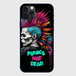 Чехол iPhone 12 Pro Max Punks not dear