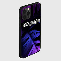 Чехол для iPhone 12 Pro Max Sex Pistols neon monstera, цвет: 3D-черный — фото 2