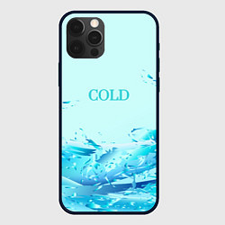 Чехол iPhone 12 Pro Max Cold