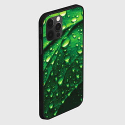 Чехол для iPhone 12 Pro Max Утренняя роса, цвет: 3D-черный — фото 2