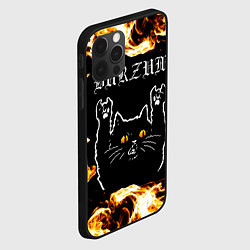Чехол для iPhone 12 Pro Max Burzum рок кот и огонь, цвет: 3D-черный — фото 2