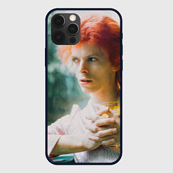 Чехол iPhone 12 Pro Max David Bowie in Haddon Hall