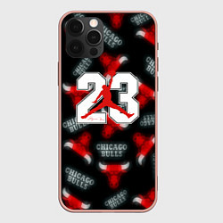 Чехол iPhone 12 Pro Max Basketball jordan logo