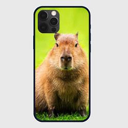 Чехол iPhone 12 Pro Max Capybara on green grass