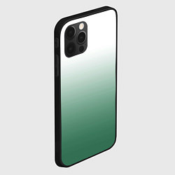 Чехол для iPhone 12 Pro Max Туманный градиент бело-зелёный, цвет: 3D-черный — фото 2