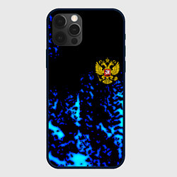 Чехол iPhone 12 Pro Max Герб краски текстура