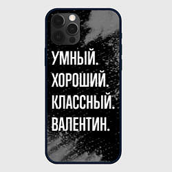 Чехол iPhone 12 Pro Max Умный хороший классный: Валентин