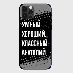 Чехол для iPhone 12 Pro Max Умный хороший классный: Анатолий, цвет: 3D-черный