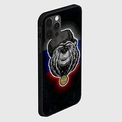 Чехол для iPhone 12 Pro Max Медведь с символикой РФ, цвет: 3D-черный — фото 2