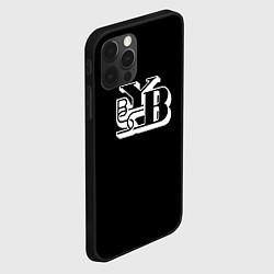 Чехол для iPhone 12 Pro Max Янг бойс фк клуб, цвет: 3D-черный — фото 2