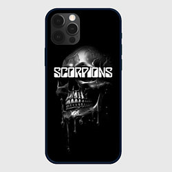 Чехол iPhone 12 Pro Max Scorpions rock