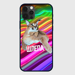 Чехол для iPhone 12 Pro Max Мем кот Шлепа, цвет: 3D-черный