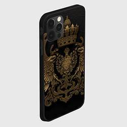 Чехол для iPhone 12 Pro Max Золотые крылья с узорами, цвет: 3D-черный — фото 2