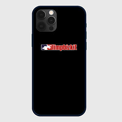 Чехол iPhone 12 Pro Max Limp Bizkit logo rock