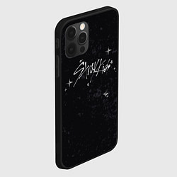 Чехол для iPhone 12 Pro Max Stray Kids жидкий металл, цвет: 3D-черный — фото 2