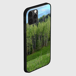 Чехол для iPhone 12 Pro Max Природа России молодые березки, цвет: 3D-черный — фото 2