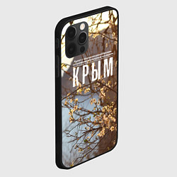 Чехол для iPhone 12 Pro Max Курорт Крым, цвет: 3D-черный — фото 2