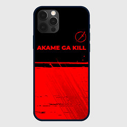 Чехол iPhone 12 Pro Max Akame ga Kill - red gradient посередине