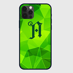 Чехол iPhone 12 Pro Max Architects green poly