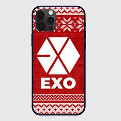 Чехол для iPhone 12 Pro Max Новогодний Exo, цвет: 3D-черный