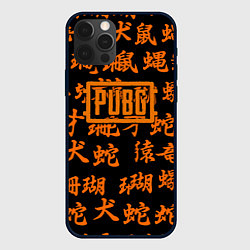 Чехол iPhone 12 Pro Max PUBG japan steel