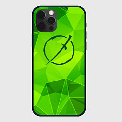 Чехол iPhone 12 Pro Max Akame ga Kill green poly