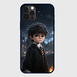Чехол iPhone 12 Pro Max Серьезный Гарри Поттер