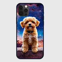 Чехол iPhone 12 Pro Max Мальтипу в космосе