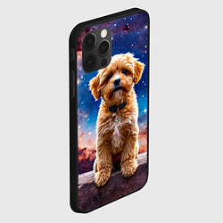 Чехол для iPhone 12 Pro Max Мальтипу в космосе, цвет: 3D-черный — фото 2