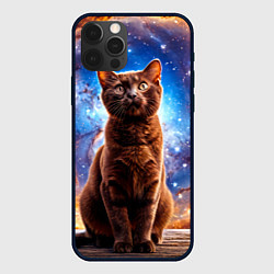 Чехол iPhone 12 Pro Max Бурма в космосе