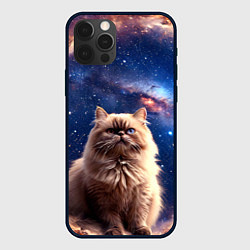 Чехол iPhone 12 Pro Max Гималайская кошка в космосе