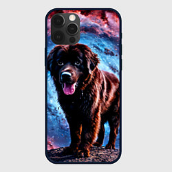 Чехол iPhone 12 Pro Max Ньюфаундленд в космосе