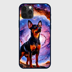Чехол iPhone 12 Pro Max Пинчер в космосе