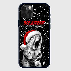Чехол iPhone 12 Pro Max Все дуреют с этой пурги