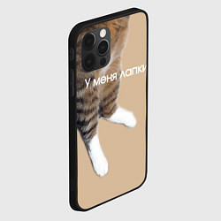 Чехол для iPhone 12 Pro Max У меня лапки кот Марс, цвет: 3D-черный — фото 2
