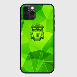 Чехол для iPhone 12 Pro Max Liverpool green poly, цвет: 3D-черный